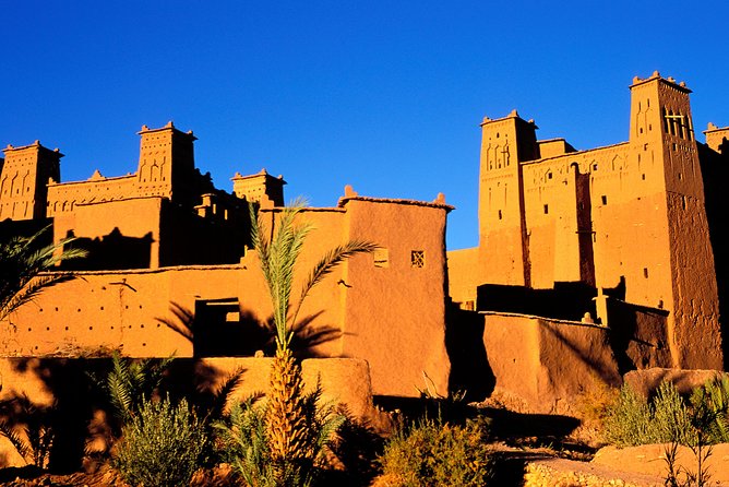 3-Day Luxury Desert Tour From Marrakech to Merzouga Desert - Contact Information