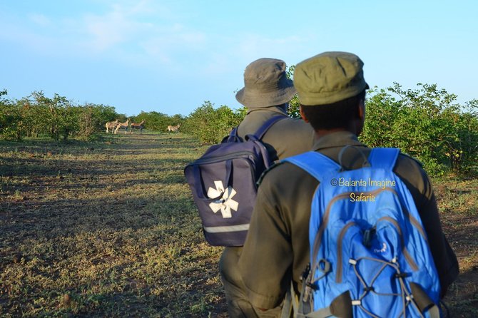 3 Day Luxury Tented Kruger Safari From Johannesburg - Transportation