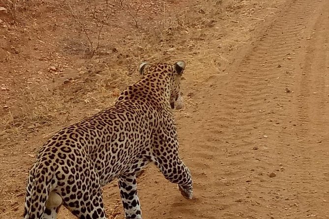 3 Day Maasai Mara Budget Camping Group Safari - Accommodation Details