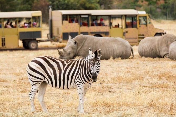 3-Day Maasai Mara Guided Safari From Nairobi - Booking Policies and Procedures