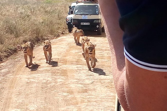 3 Day Maasai Mara & Migration Safari - Big Five Wildlife Sightings