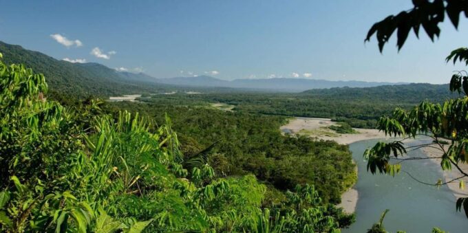 3-Day Macaw Clay Lick Tour - Wildlife Observation