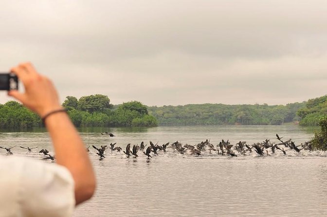 3-Day Manaus Amazon Jungle Adventure - Accommodation and Meals