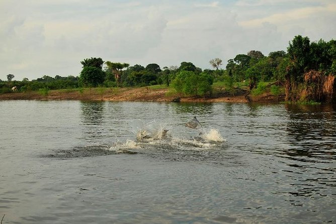 3-Day Manaus Amazon Jungle Adventure - Guide and Pickup Details