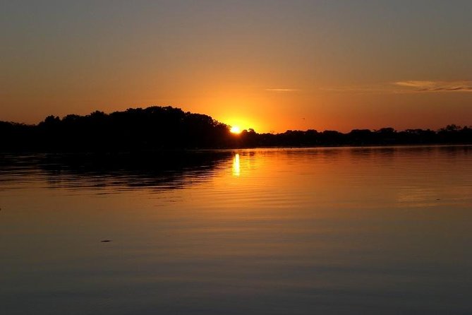3-Day Manaus Amazon Jungle Adventure - Wildlife and Weather Conditions