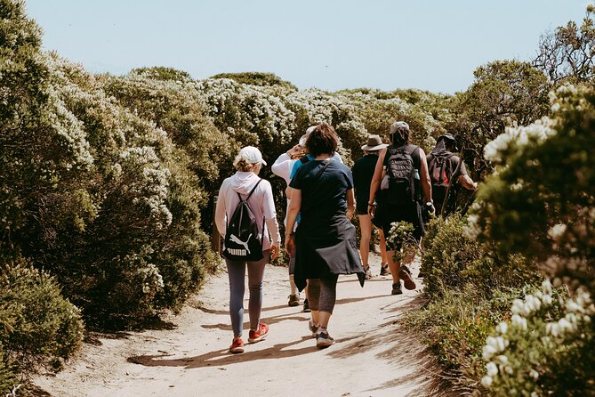 3 Day Margaret River Yoga Wellness Glamping Adventure From Perth - Included Activities and Workshops