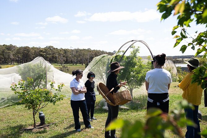 3 Day Margaret River Yoga Wellness Glamping Adventure From Perth - Meal Details and Inclusions