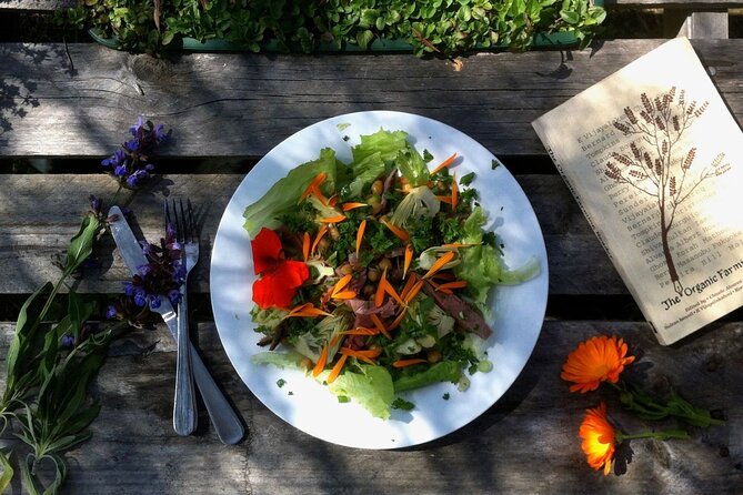 3 Day Margaret River Yoga Wellness Glamping Adventure From Perth - Tent Upgrade Options