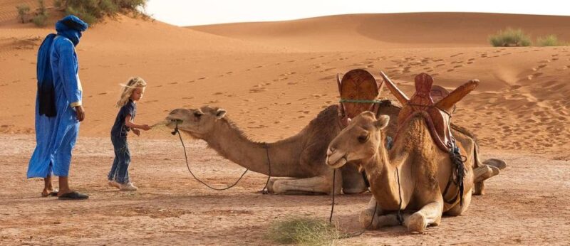 3-Day Marrakech Desert Tour To Erg Chigaga Dunes - Departure and Destinations