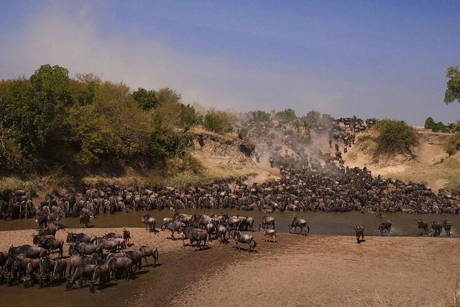 3-Day Masai Mara Group Safari With Pick up - Included Amenities