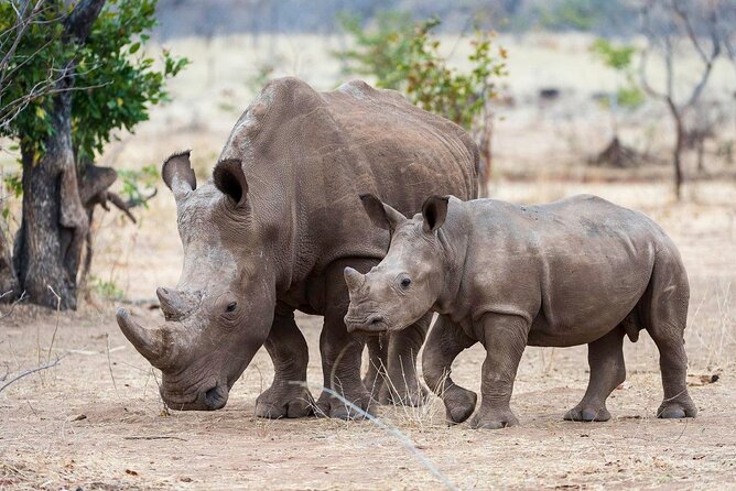 3-Day Masai Mara Group Safari With Pick up - Pickup Information