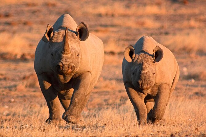 3-Day Masai Mara Group Safari With Pick up - Additional Details