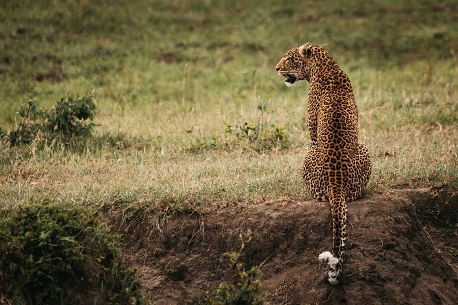 3-Day Masai Mara Luxury Safari - Packing and Preparation