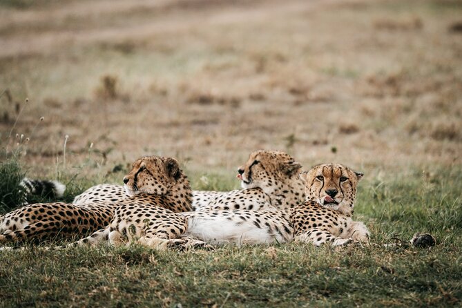 3-Day Masai Mara Luxury Safari - Safety and Emergency Procedures