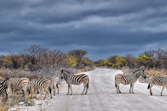 3-Day Masai Mara National Park Deluxe Tour - Positive Reviews
