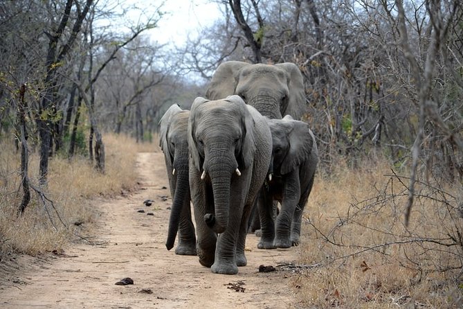 3-Day Masai Mara National Park Deluxe Tour - Unforgettable Experience