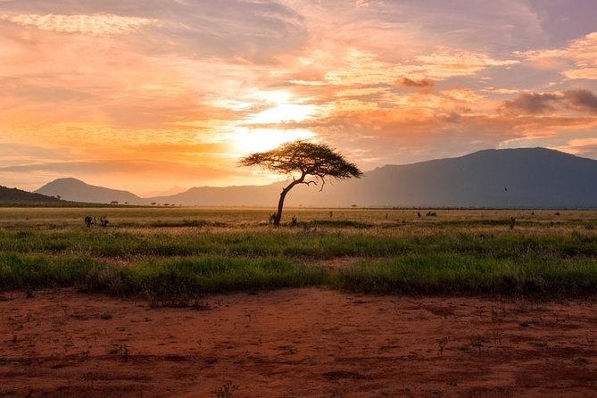 3-Day Masai Mara National Park Deluxe Tour - Recap