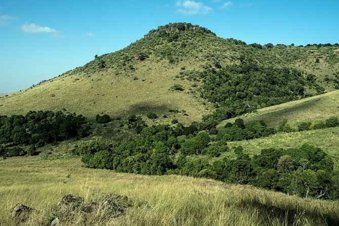 3-Day Masai Mara National Park Superior Tour - Health and Accessibility