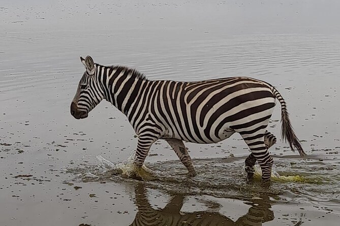 3-Day Masai Mara Safari From Nairobi - Getting There and Away