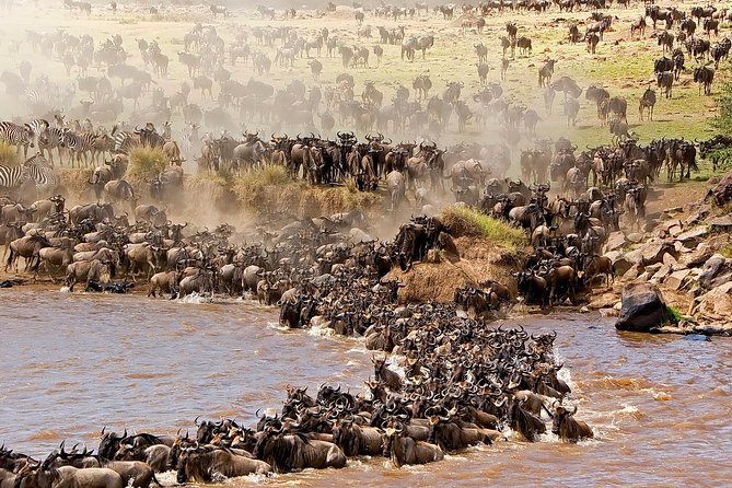 3-Day Masai Mara Safari Tour to See the Big Five and Wildebeest Migration - Inclusions