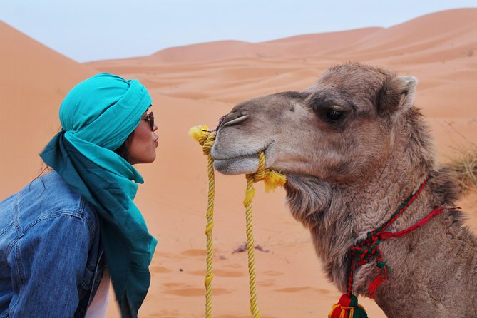 3-Day Merzouga Desert Trip From Fes To Marrakech - Booking Information and Cancellation