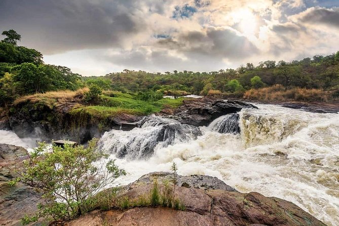 3-Day Mind Refreshing in Murchison Falls National Park - Exhilarating Game Drives Await