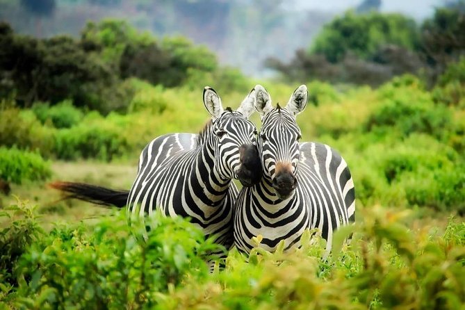 3-Day Mind Refreshing in Murchison Falls National Park - Comfortable Accommodations and Meals