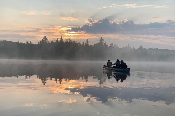 3 Day Moose Viewing Safari With Camping - Meeting and Departure