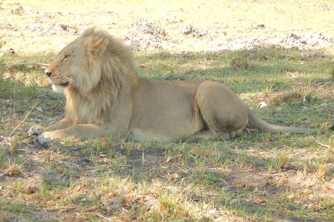 3-Day Moremi Game Reserve- by Walking Stick Safaris - Key Points