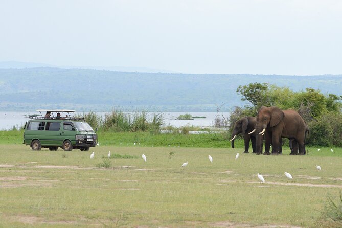 3 Day Murchison Falls and Wildlife Viewing Safari - Health and Accessibility