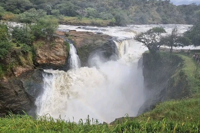 3 Day Murchison Falls and Wildlife Viewing Safari - Pricing and Reviews