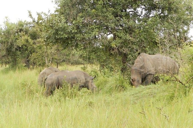 3-Day Murchison Falls National Park - Adventure Safari - Pickup Information