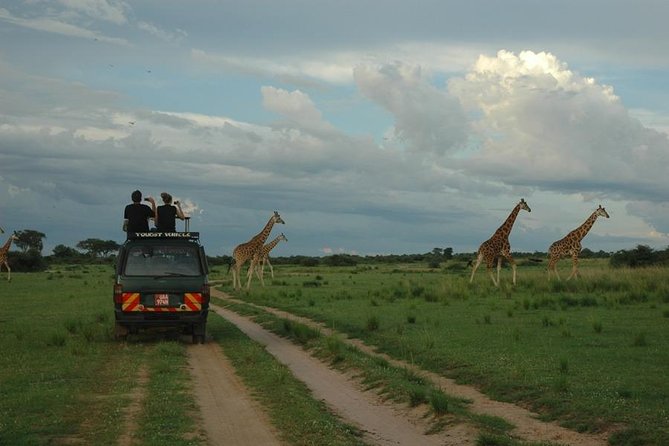 3-Day Murchison Falls National Park - Adventure Safari - Day 1: Arrival and Game Drive