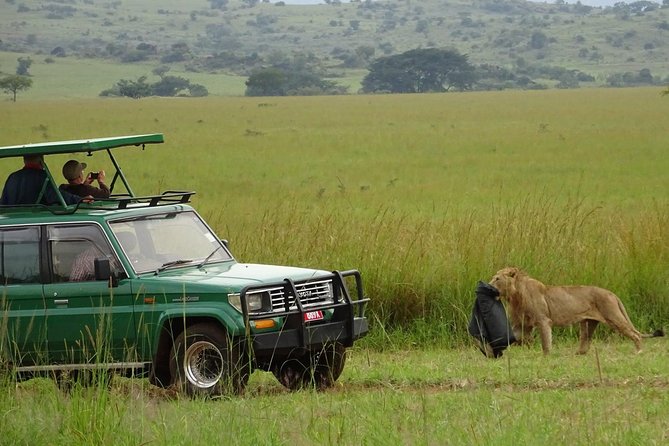 3-Day Murchison Falls National Park - Adventure Safari - Day 3: Departure and Transfer