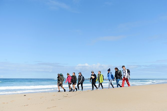 3 Day Murramarang Coast Journey From Batemans Bay With Meals and Villa Accom - Walking Experience