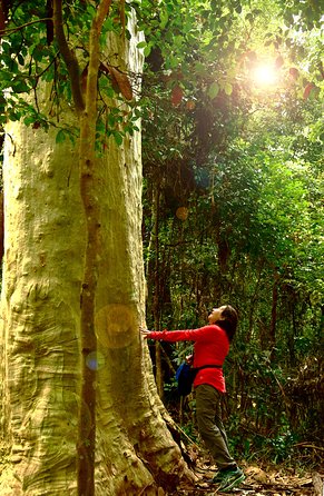 3 Day Murramarang Coast Journey From Batemans Bay With Meals and Villa Accom - Group Size