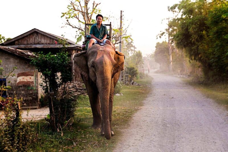 3 Day Nepal Chitwan Jungle Safari Tour From Kathmandu - Key Points