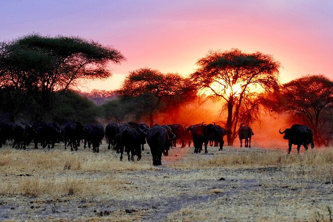 3-Day Ngorongoro Crater Manyara and Tarangire Safari From Arusha - Inclusions and Exclusions
