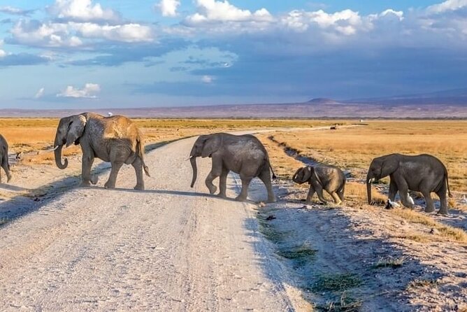 3-Day Ngorongoro Crater Manyara and Tarangire Safari From Arusha - Restrictions and Requirements