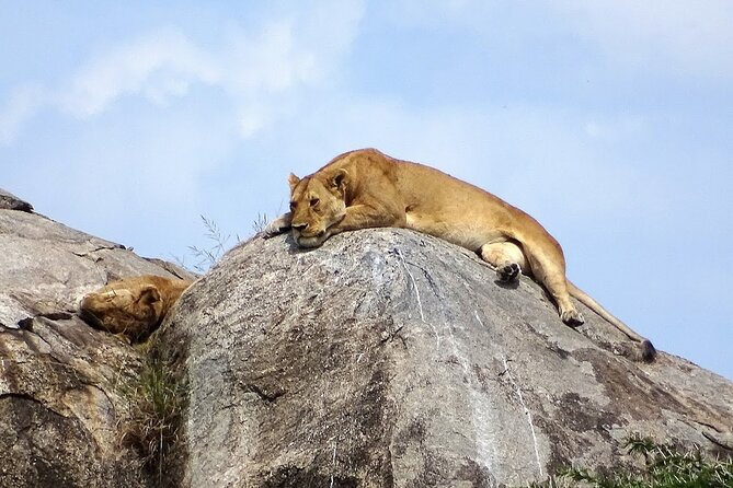 3-Day Ngorongoro Crater Manyara and Tarangire Safari From Arusha - Tour Highlights and Itinerary