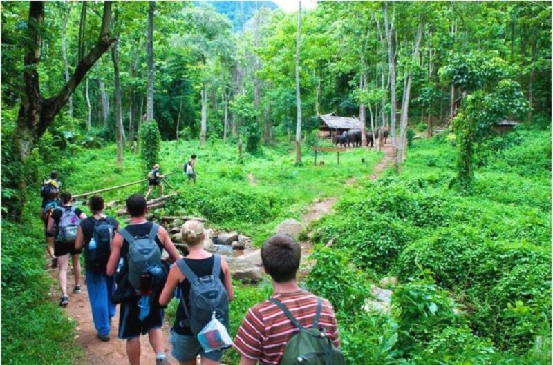 3-Day Ninh Binh - Bai Tu Long Bay Luxury Junk - Trang An Landscape UNESCO Site
