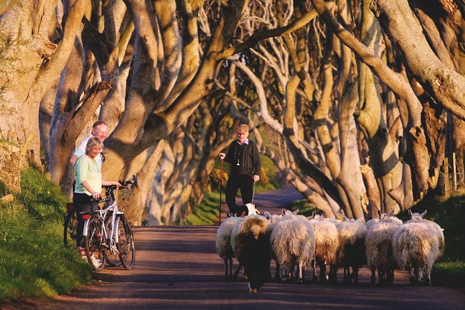 3-Day Northern Ireland Tour From Dublin: Giant'S Causeway & Titanic Experience - Accessibility Information