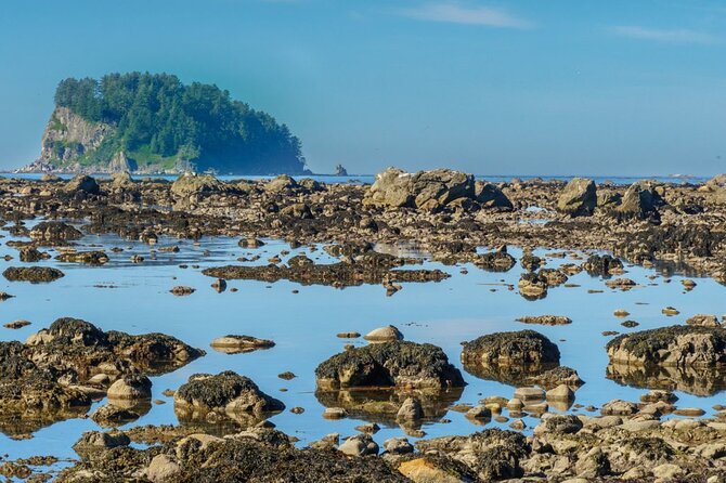 3-Day Olympic Backpacking - The Ozette Coast - Wildlife Encounters and Preservation