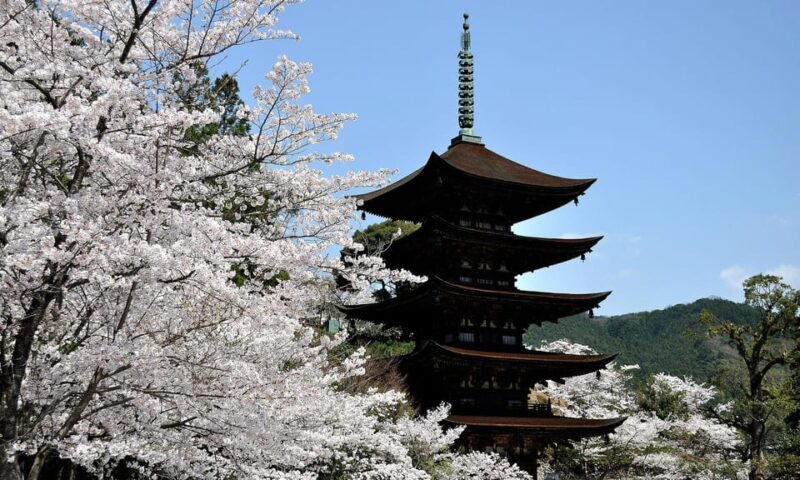 3 Day ONE-WAY BUS Tours to Fukuoka From Osaka via SANYO - Day 1 Highlights