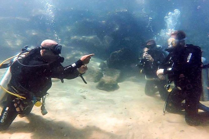 3-Day Open Water Certification Course on the Gold Coast - Course Structure and Activities