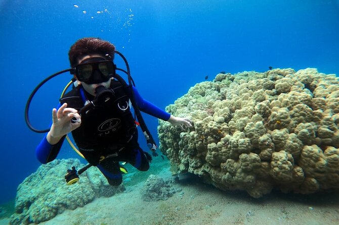 3-Day Open Water Scuba Diving Course in Aqaba - Pickup and Meeting
