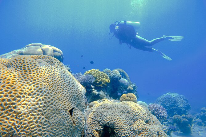 3-Day Open Water Scuba Diving Course in Aqaba - Booking Confirmation