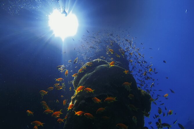 3-Day Open Water Scuba Diving Course in Aqaba - Suitability Considerations