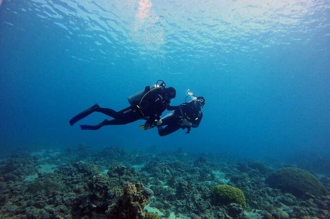 3-Day Open Water Scuba Diving Course in Aqaba - Group Size