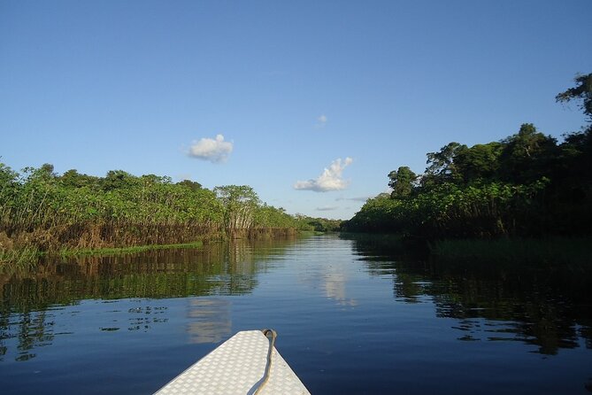 3 Day Pacaya Samiria Amazon Nature Reserve From Iquitos - Exploring the Amazon Rainforest